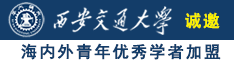 se356.com诚邀海内外青年优秀学者加盟西安交通大学