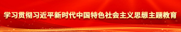 鸡巴日逼视频免费观看学习贯彻习近平新时代中国特色社会主义思想主题教育